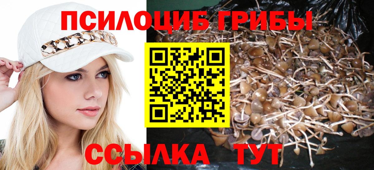 Галлюциногенные грибы прущие грибы  Вход с VPN  Добрянка 